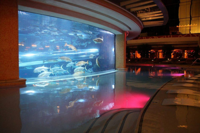 Piscine Golden Nugget avec aquarium requin